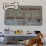 Veterinaria Bayliss La Paz, Baja California Sur, México