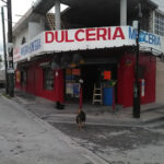 Farmacia Castillo (Abarrotes, Fruta y Dulces) Cd Gral Escobedo, Nuevo León, México