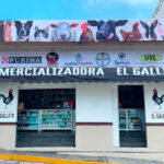 Comercializadora El Gallito Cd López Mateos, Estado de México, México