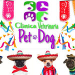 Clínica Veterinaria Pet-Dog Vista Hermosa de Negrete, Michoacán, México