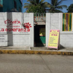 Clinica Veterinaria La Esperanza Ometepec, Guerrero, México